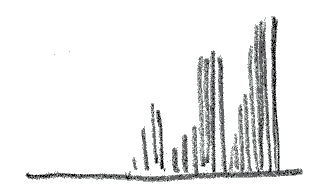 Light over exposed histogram from Olympus E-10 Digital SLR