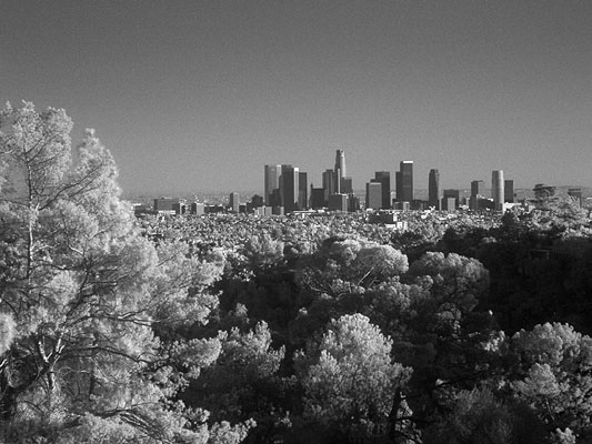 IR photo of the Los Angeles Skyline photographed Feb 4th 2001 by Bo Lorentzen