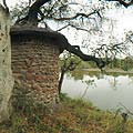 By the dam, on another break, the water is full of crocks so it is wise not to dip the toes even in the heat of the day