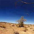 Interactive Virtual tour - October 8th 2003 Trona Pinnacles standing on old ocean floor by Ridgecrest - California