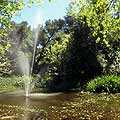 Interactive Virtual tour - Descanto Gardens filled with beautiful flowers photographed using my Hassleblad and a 360oneVR lens - California